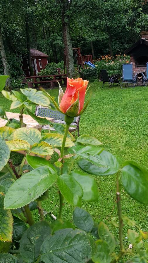 Namelis Nr 1 Adeles Sodyba Sturmai Esterno foto