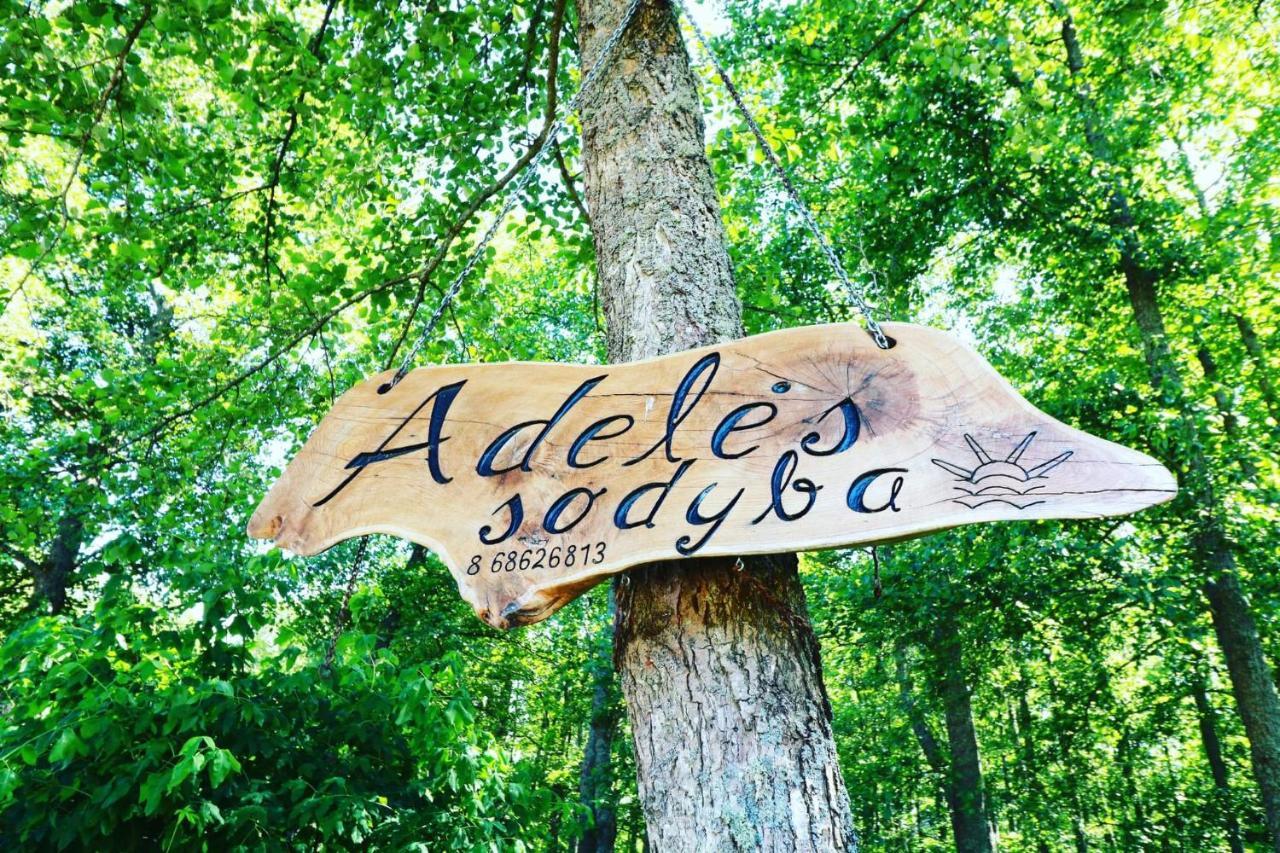 Namelis Nr 1 Adeles Sodyba Sturmai Esterno foto