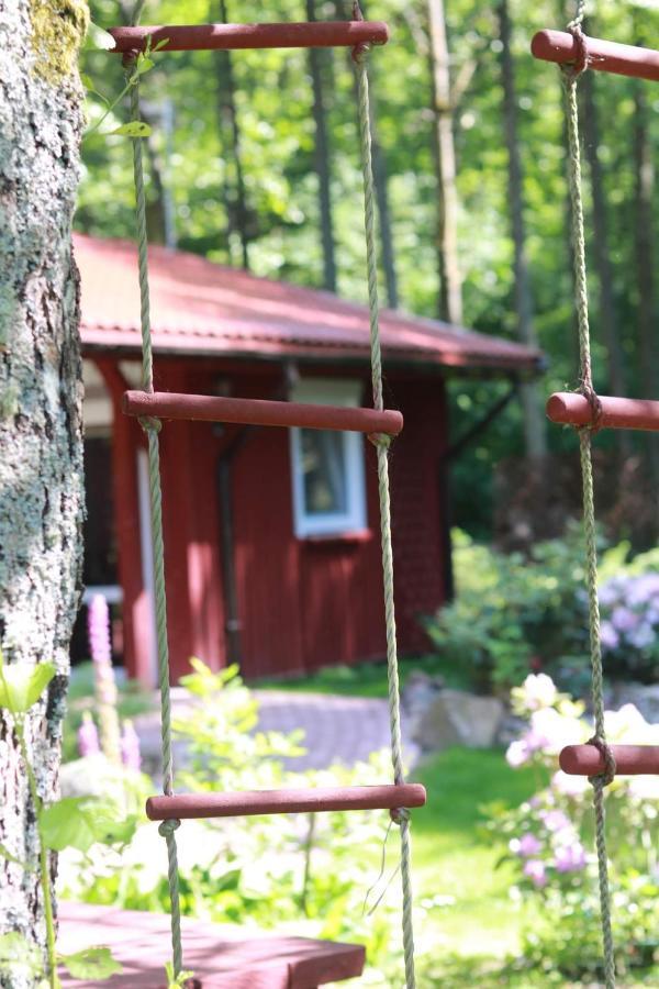 Namelis Nr 1 Adeles Sodyba Sturmai Esterno foto