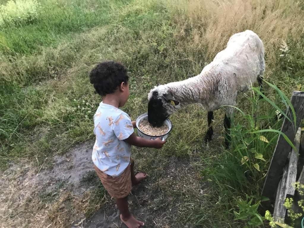 Namelis Nr 1 Adeles Sodyba Sturmai Esterno foto