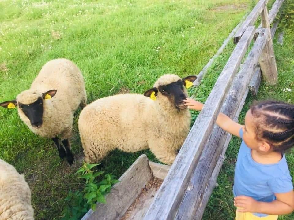 Namelis Nr 1 Adeles Sodyba Sturmai Esterno foto