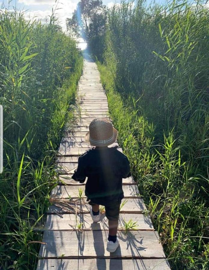 Namelis Nr 1 Adeles Sodyba Sturmai Esterno foto